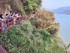 -羚羊峡古栈道森林公园