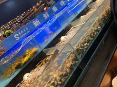 -苏格里岛自助海鲜烤肉(中州万达店)