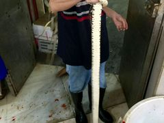 -荔城生鲜盛宴(番禺旗舰店)