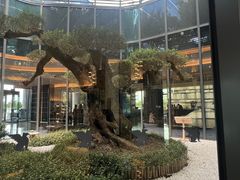 -东方美谷JW万豪酒店·The lounge大堂吧