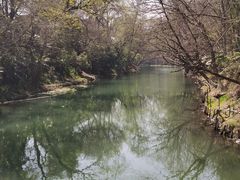 -红梅公园