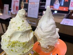 -野人先生现做冰淇淋(北京环宇荟店)