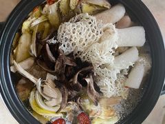 -蘑统田下·野生菌火锅