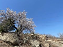 -白水寺森林公园