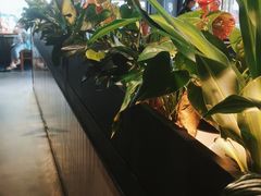 -管氏翅吧(台湾街店)