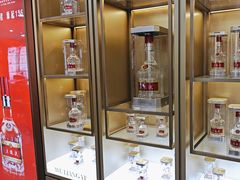 -五粮液(浦东大道店)