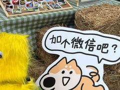 -電力宠物公司(武定路店)