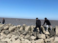 -南汇嘴观海公园