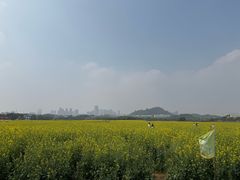 -光明小镇欢乐田园
