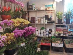 -双季花艺园艺市场(浦东店)
