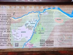 -汤旺河林海奇石景区