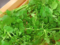 西洋菜-烹然四季椰子鸡火锅(团结湖总店)