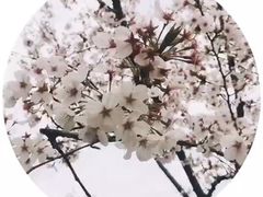 -堤角公园
