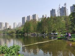 -重庆彩云湖湿地公园