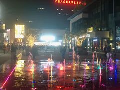 -中国人民解放军总医院(301医院)