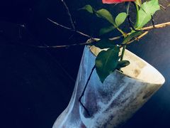 -元白和创园展厅