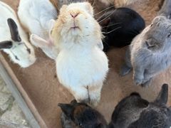 -鄂尔多斯野生动物园