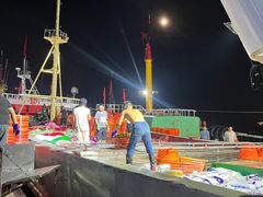 -中国舟山国际水产城