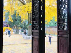 -苏州上方山国家森林公园