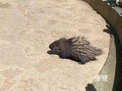 -青藏高原野生动物园