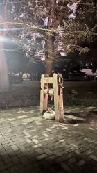 -上海瑞金洲际酒店·宴会厅