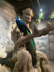 -Zoolung Zoolung动物主题公园(海信广场店)