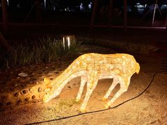 -江门古劳水乡旅游区