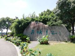 -荷塘月色湿地公园·向阳花洲