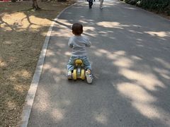 -云溪植物园