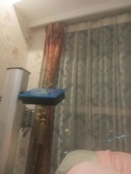 android_upload_pic-茜尔维亚修身连锁