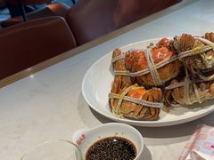 -杨氏青龙虾·羊蝎子(金盛路总店)