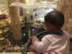 -威珀斯酒店·珀萃美食餐厅 | 海鲜刺身·现烤生蚝·特色烤肉