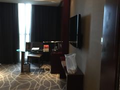 -常州环球恐龙城维景国际大酒店