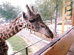 -石家庄市动物园