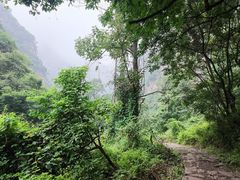 -少华山国家森林公园