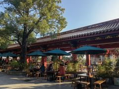 -仙岳公园