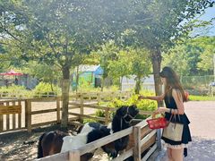 -水上乐园·欢乐世界