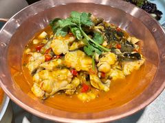 -洞庭家宴·头牌甲鱼(广渠门店)