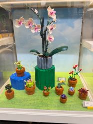 -乐高授权专卖店(济南万象城店)