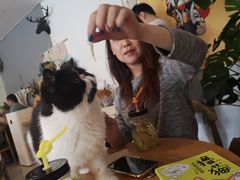 -平行世界·猫咖(首经贸店)