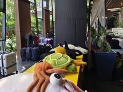 -普吉岛卡塔阿维斯塔诺富特酒店度假村