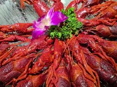 -京悦南门涮羊肉·羊蝎子火锅(田林路店)