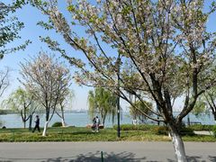 -东湖磨山景区