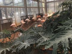 景点-北京动物园