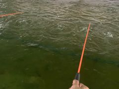 -会江钓鱼钓虾烧烤场