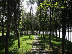 -金银湖国家城市湿地公园