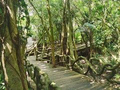 -海口火山口国家地质公园