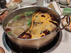-菌子鲜汤野生菌锅