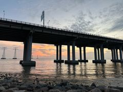 -宝安西湾红树林湿地公园