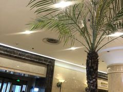 -逸派咖啡 EPARKCOFFEE(广安门店)